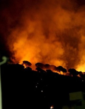 Пожари вилнеят в Калифорния