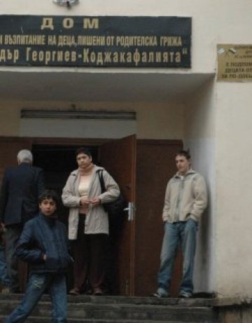 Сираче от "Коджакафалията" спи на стълбите на офис