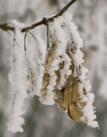 Уха! Минус 21,6&deg; в Кнежа