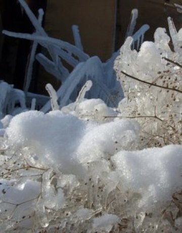 Замръзнала България. -19&deg; в Кнежа, -17&deg; в Пловдив и Стара Загора