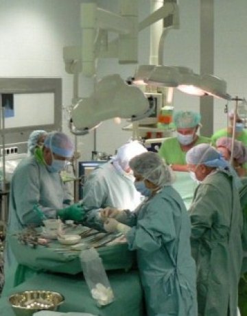 Стачка на косовските лекари