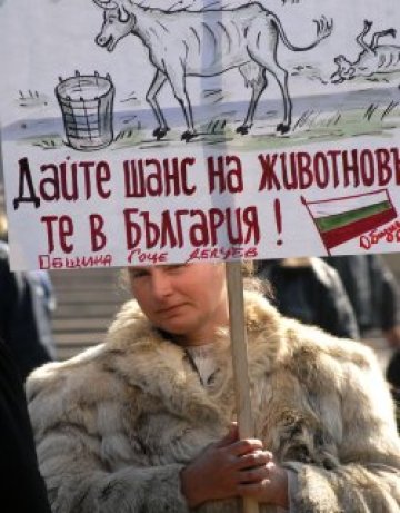 50 млекари скандират пред земеделското министерство