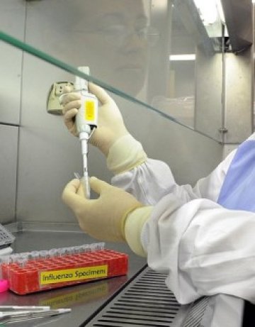 СЗО оставя пета степен на заплаха от свинския грип