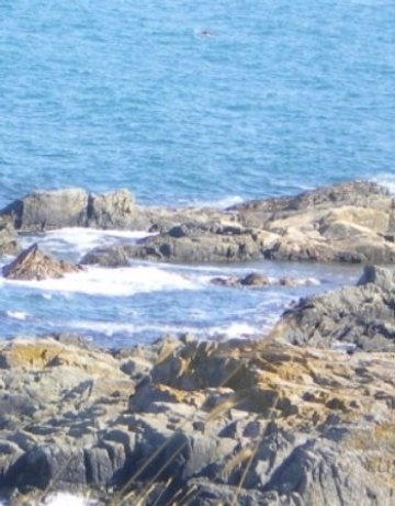 Мъж се удави във Варна