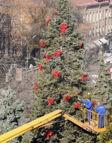 Кметицата пали светлините на коледния бор в София