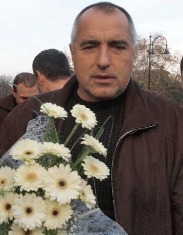 Мога ли да забраня герберите по цветарниците!?
