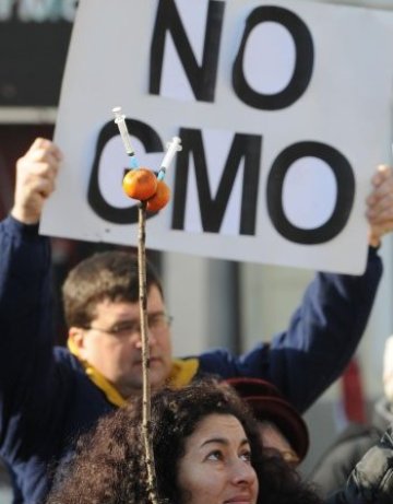 И НДСВ против ГМО