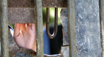 Какво да прави обществото с децата убийци