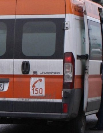 Дете и възрастен мъж загинаха в катастрофа