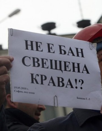 Учени от БАН си заработвали хилядарки по проекти