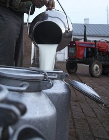 Британците ще слагат витамин D в прясното мляко