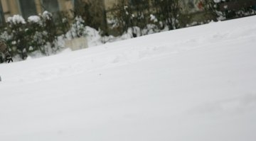 Неочаквана зима в Сибир. За ден градусите с 20 надолу