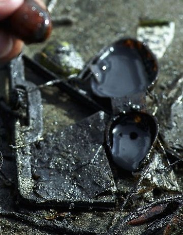 Средиземно море също има своето мръсно петно