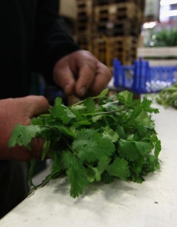 Срещу пролетна умора &ndash; прочистване на организма от токсини