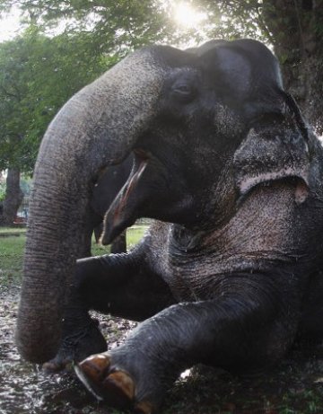 С възрастта лидерите стават по-добри