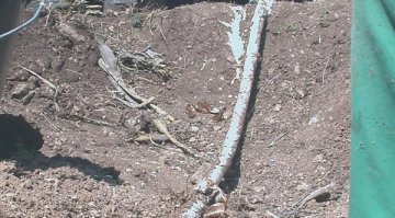 Външно 24 часа без телефони