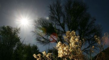 Отношението ни към климата зависи от това дали е топло или студено