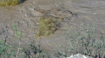 Двегодишно дете се удави в Марица