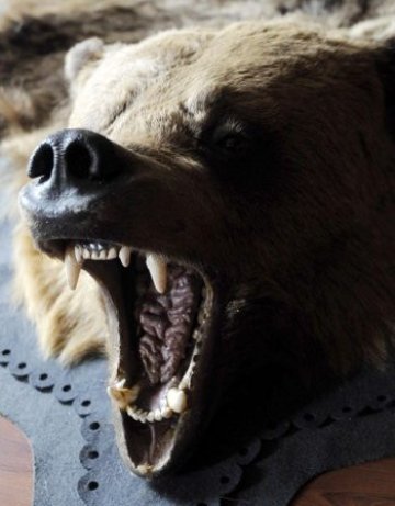 Полицаи иззеха 48 ловни трофея при спецакция