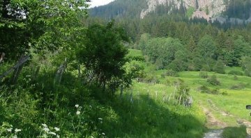 Турист се изгуби в Стара планина, намериха го след 4 часа