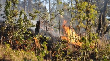 Пожарът в Белоградчишко се е разгорял отново