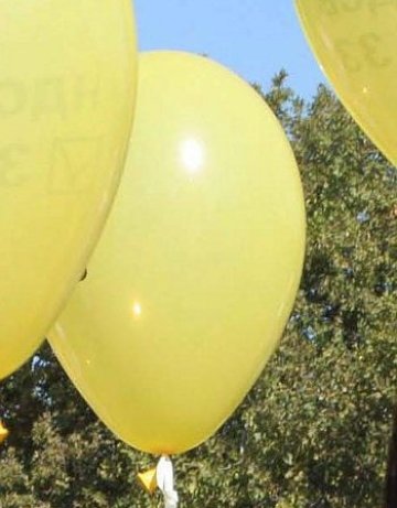 НДСВ стяга митинг "Срещу служебната победа на ГЕРБ" 