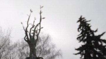 10 години от ужасяващата трагедия пред "Индиго"