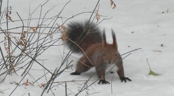Пореден ден с рекорди. Днес са само 11