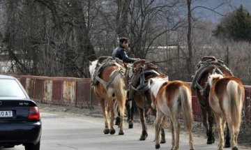 ЕС обсъжда връщане на визи за българи 