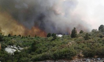 19 пожарникари загинаха при потушаване на пожар в Аризона