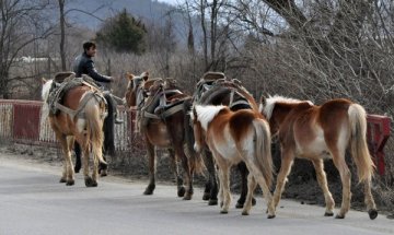 Едва един на всеки петима роми у нас е с работа