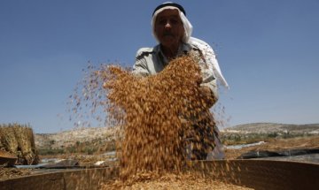 Сусамовото масло предпазва от инфекции