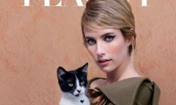 Звезди и котки в една нестандартна фотосесия