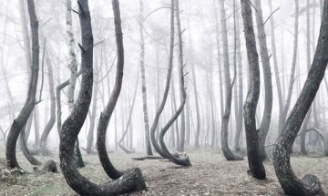 Необикновена, но приказна гора в Полша