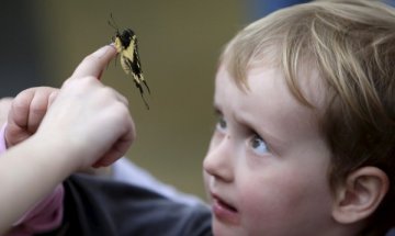 Дефицит на внимание и хиперактивност &ndash; най-често при децата