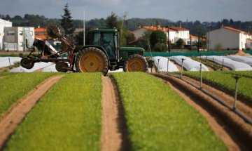 Цената на земеделската земя скача със 160% последните 6 г.