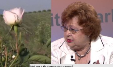 Очаква се цената на розовото масло да нарасне с 20% 