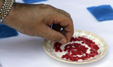 90 хил. българчета до 12-и клас са пробвали дрога 