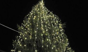 Коя е най-грозната елха в света? Тази в Рим