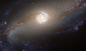 Българчета с успех в НАСА – космически град!