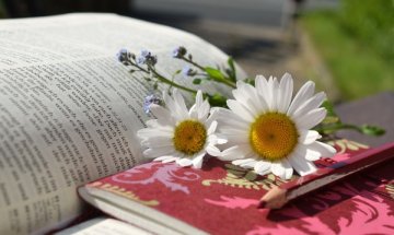 Утре започва пролетният базар на книгата