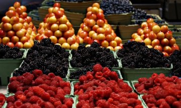 Скъпо ли е българското биопроизводство?