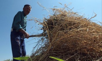 В Добричко: Хората напускат градовете, отиват на село