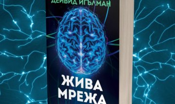 Колко е адаптивен на човешкия мозък в "Жива мрежа"