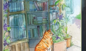 Магични истории с "Котаракът, който спасяваше книги"