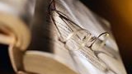 Пускат поредица “Безполезни книги”