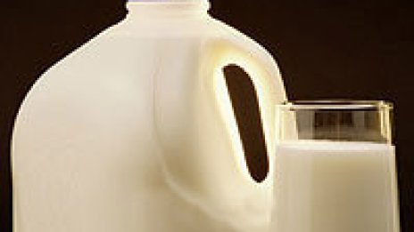 Производители на мляко използват желатин за сгъстяване на продуктите