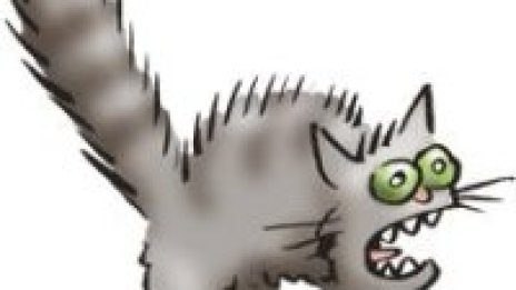 Котка върху студен теракотен под