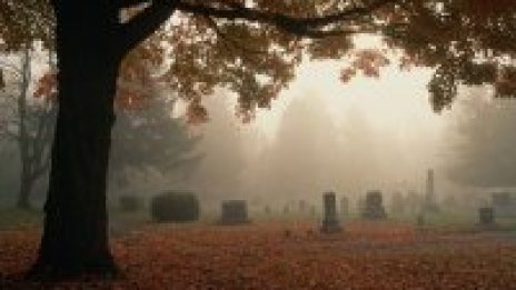 Австралиец предлага катафалка с бар и DVD-плеър