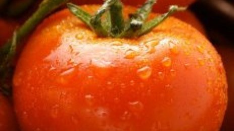 Кашкавалът, сиренето и доматите поевтиняха през юни